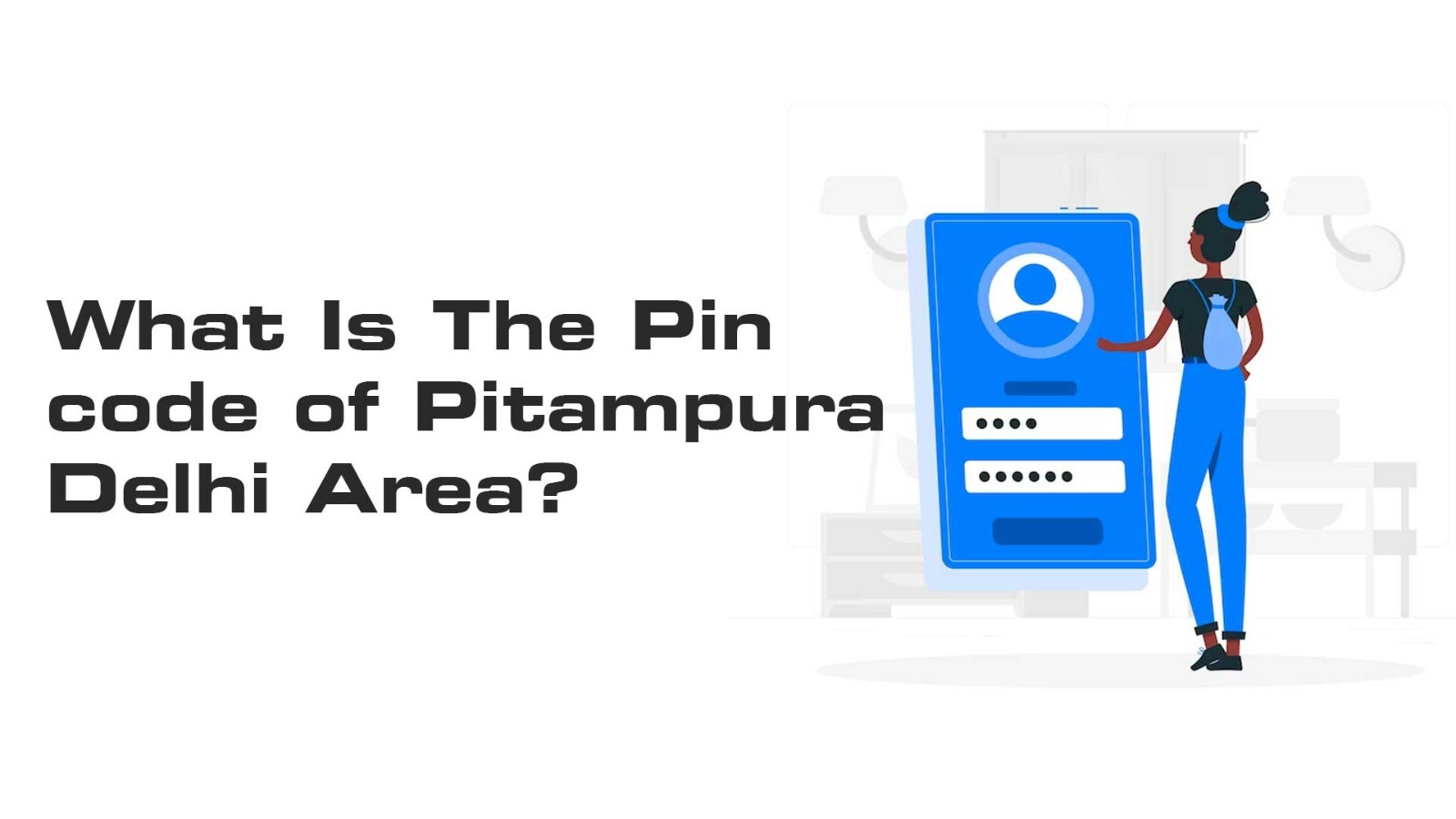 What Is The Pin code of Pitampura Delhi area?